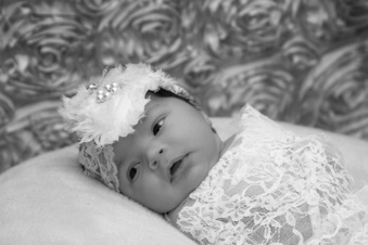 Enlarge photo 241