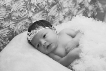 Enlarge photo 246
