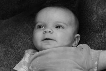 Enlarge photo 250
