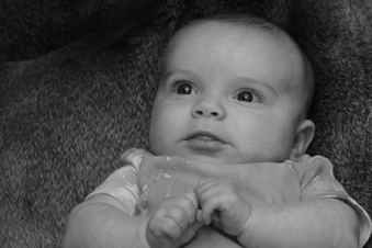Enlarge photo 255
