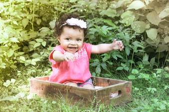 Enlarge photo 165