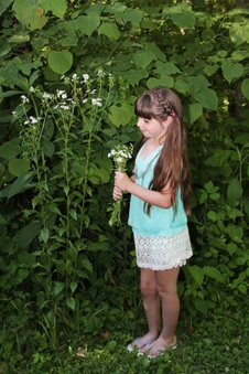 Enlarge photo 272