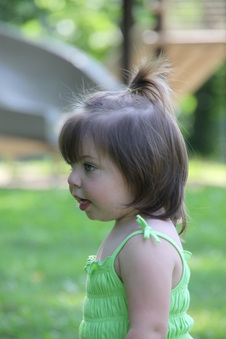Enlarge photo 58