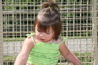 Enlarge photo 76