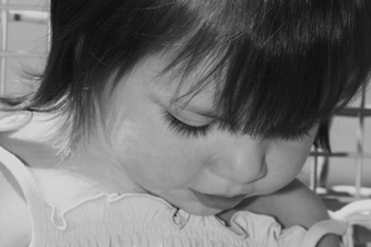 Enlarge photo 84