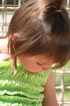 Enlarge photo 87