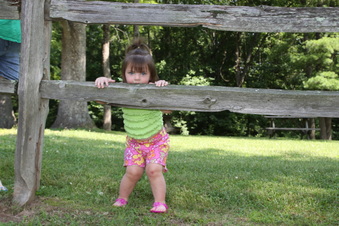 Enlarge photo 88