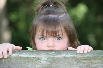 Enlarge photo 89