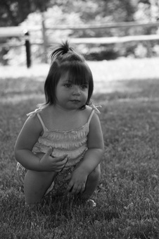 Enlarge photo 111