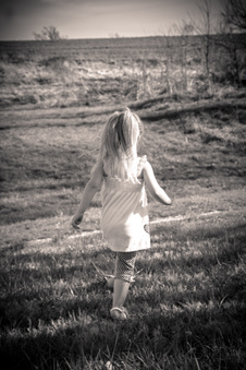 Enlarge photo 65