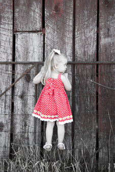 Enlarge photo 168