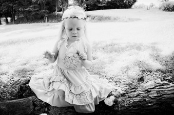 Enlarge photo 176