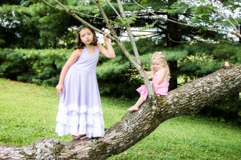 Enlarge photo 237