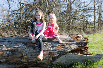 Enlarge photo 240