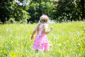 Enlarge photo 313