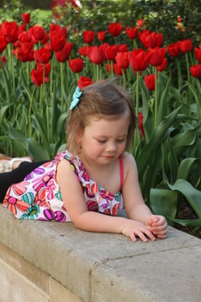 Enlarge photo 13