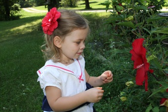 Enlarge photo 37