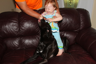 Enlarge photo 50