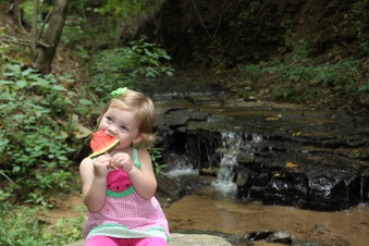 Enlarge photo 16