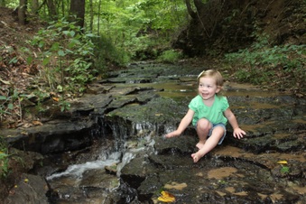 Enlarge photo 37