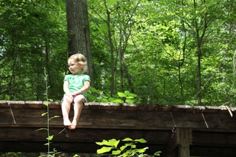 Enlarge photo 39