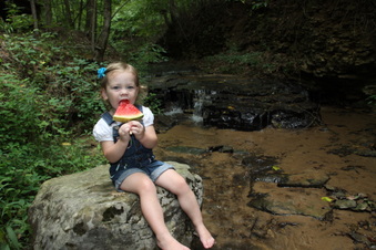 Enlarge photo 43