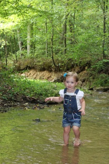 Enlarge photo 46