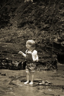 Enlarge photo 53