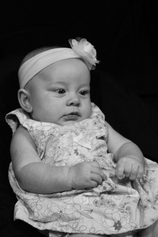 Enlarge photo 43