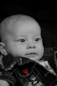 Enlarge photo 83