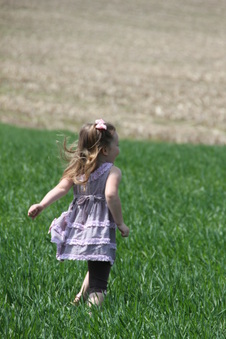 Enlarge photo 51