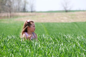 Enlarge photo 69