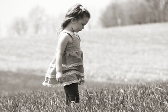 Enlarge photo 73