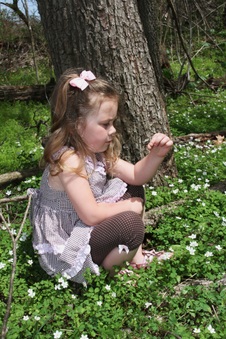 Enlarge photo 78
