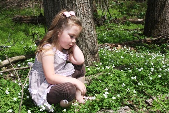 Enlarge photo 81