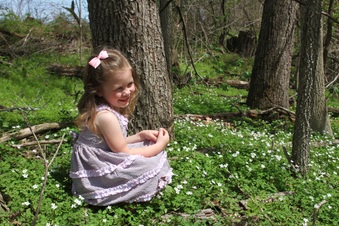 Enlarge photo 82