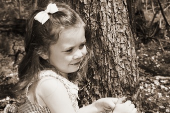 Enlarge photo 83