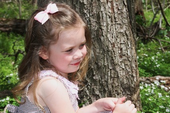 Enlarge photo 84