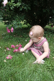 Enlarge photo 25