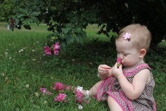 Enlarge photo 27
