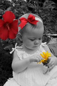Enlarge photo 90