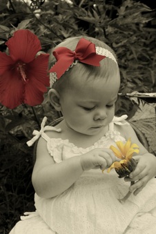 Enlarge photo 91