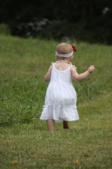 Enlarge photo 117