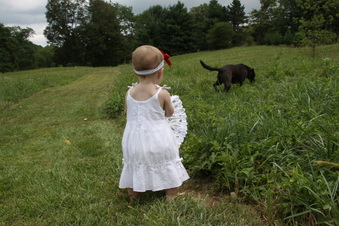 Enlarge photo 122