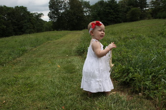 Enlarge photo 124