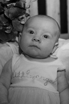 Enlarge photo 55
