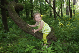Enlarge photo 16