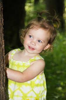 Enlarge photo 25