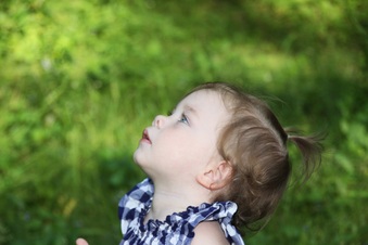 Enlarge photo 29
