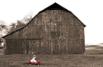 Enlarge photo 30